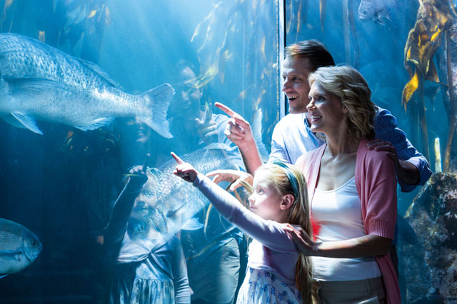 AQUARIUM OF THE BAY AT PIER 39